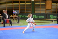 Landesmeisterschaft 2026